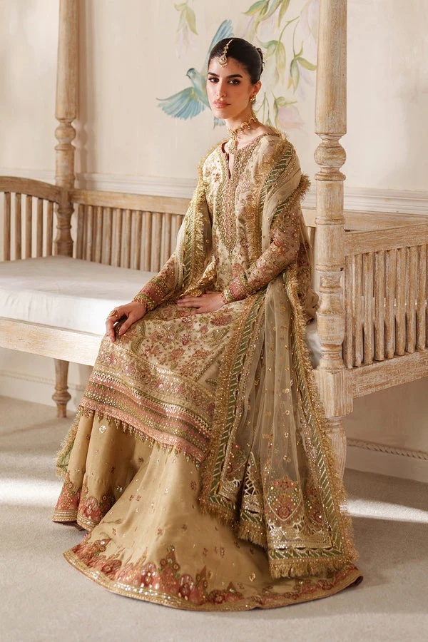 EMBROIDERED NET BAROUQE pakistani fashion outfit with coordinated…
